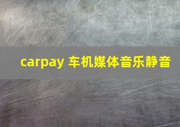 carpay 车机媒体音乐静音